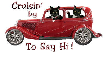 a transparent gif of 2 cats edited into a car. the car is red and slightly bouncing as the wheels turn. the first cat is in the front and meows, the second is in the backseat and waving its paw. there is a glittery text saying "Cruisin' by To Say Hi !"