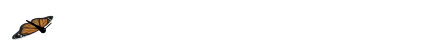 a transparent gif of an orange butterfly flying from the left to the right side